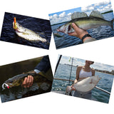 ZASIE Carolina Rigs for Fishing - Steel Fishing Leaders with Weights, Pre-Rigged with 1/2 oz Weight, 10 Pcs